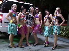 Girls showing pussy and tits in hula skirts